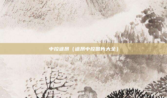 中控途昂（途昂中控图片大全）