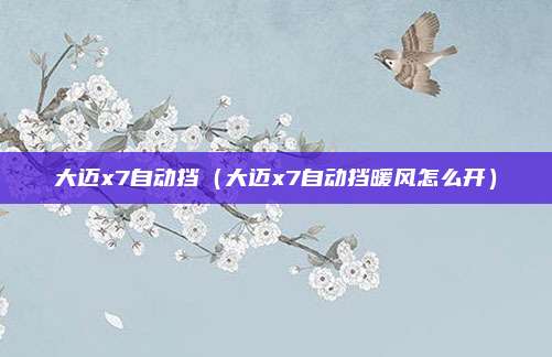 大迈x7自动挡（大迈x7自动挡暖风怎么开）