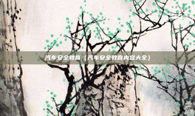 汽车安全教育（汽车安全教育内容大全）