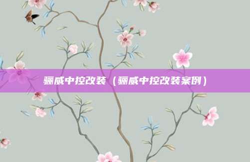 骊威中控改装（骊威中控改装案例）