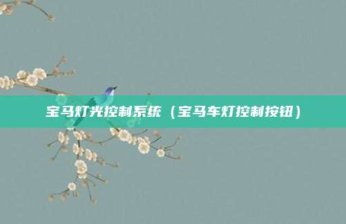 宝马灯光控制系统（宝马车灯控制按钮）