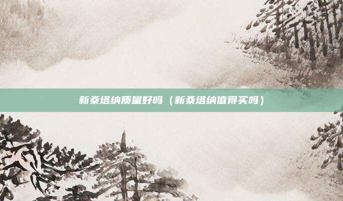新桑塔纳质量好吗（新桑塔纳值得买吗）
