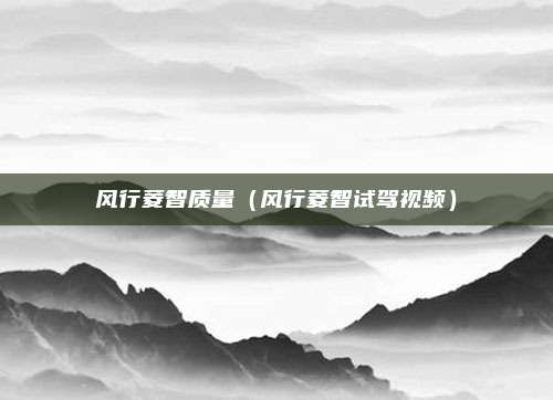 风行菱智质量（风行菱智试驾视频）