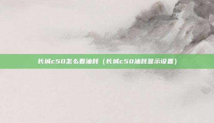 长城c50怎么看油耗（长城c50油耗显示设置）