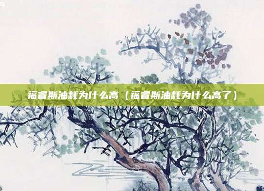 福睿斯油耗为什么高（福睿斯油耗为什么高了）
