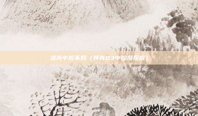 凌克中控不好（领克03中控没反应）