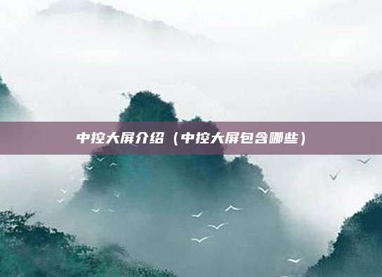 中控大屏介绍（中控大屏包含哪些）