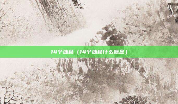14个油耗（14个油耗什么概念）