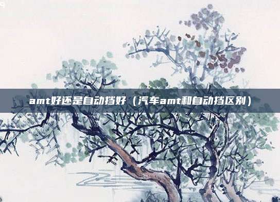amt好还是自动挡好（汽车amt和自动挡区别）
