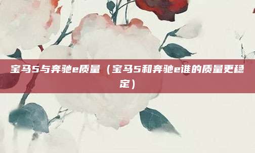 宝马5与奔驰e质量（宝马5和奔驰e谁的质量更稳定）