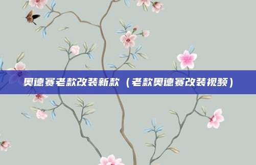 奥德赛老款改装新款（老款奥德赛改装视频）