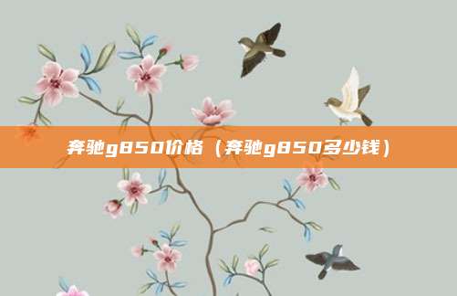 奔驰g850价格（奔驰g850多少钱）