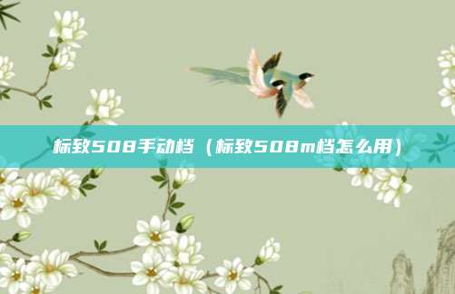 标致508手动档（标致508m档怎么用）