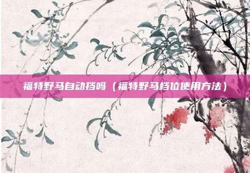 福特野马自动挡吗（福特野马档位使用方法）