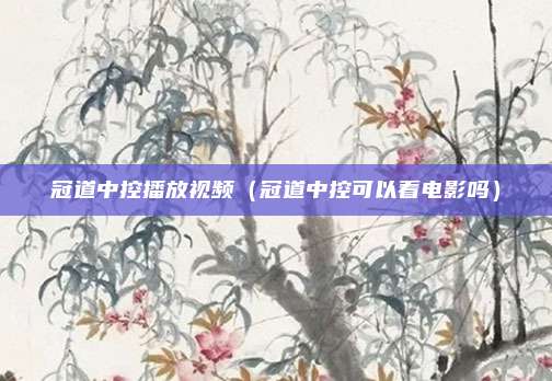 冠道中控播放视频（冠道中控可以看电影吗）