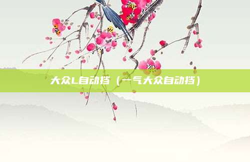大众L自动挡（一气大众自动挡）