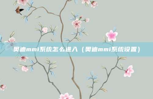 奥迪mmi系统怎么进入（奥迪mmi系统设置）