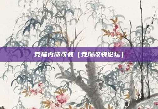 竞瑞内饰改装(竞瑞改装论坛)