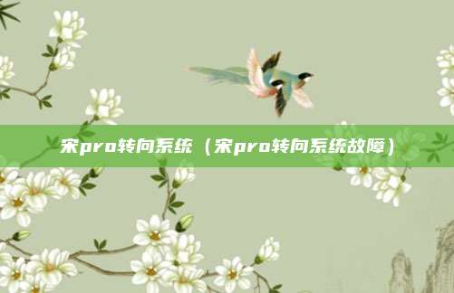 宋pro转向系统（宋pro转向系统故障）