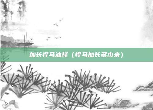 加长悍马油耗（悍马加长多少米）