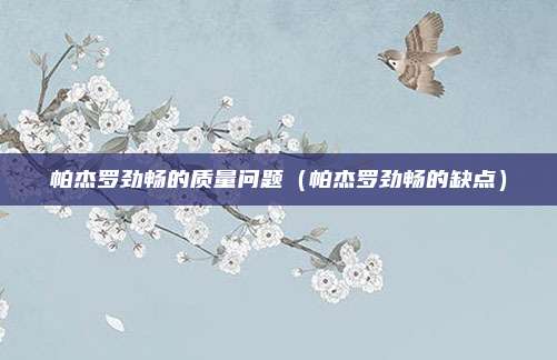 帕杰罗劲畅的质量问题（帕杰罗劲畅的缺点）