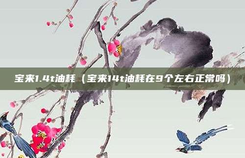宝来1.4t油耗（宝来14t油耗在9个左右正常吗）