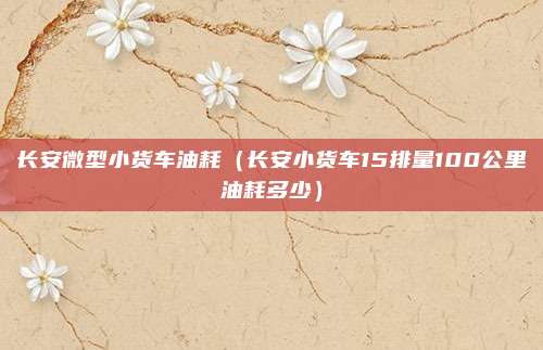 长安微型小货车油耗（长安小货车15排量100公里油耗多少）