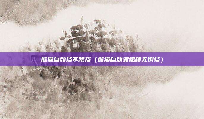 熊猫自动挡不跳挡（熊猫自动变速箱无倒档）