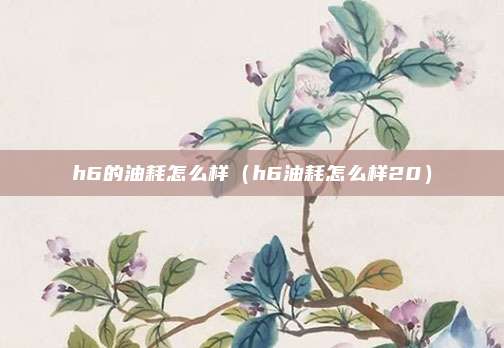 h6的油耗怎么样（h6油耗怎么样20）