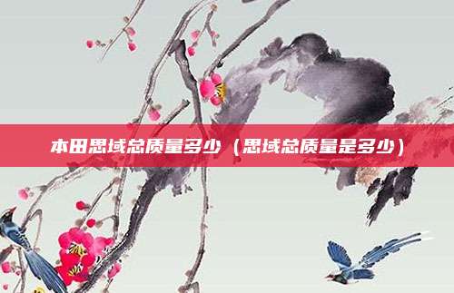 本田思域总质量多少（思域总质量是多少）