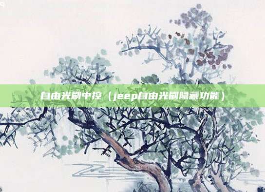 自由光刷中控（jeep自由光刷隐藏功能）