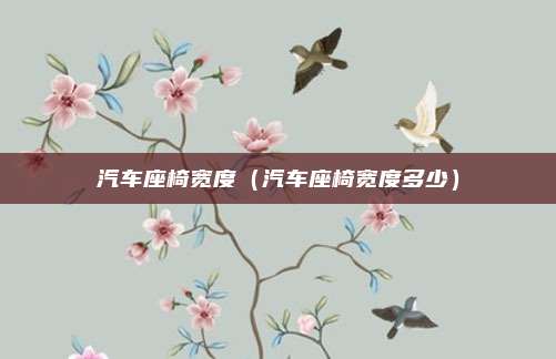 汽车座椅宽度（汽车座椅宽度多少）