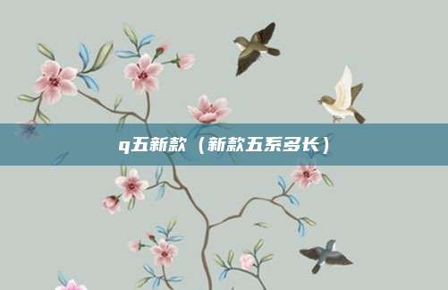 q五新款（新款五系多长）