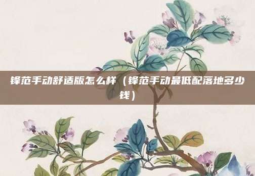 锋范手动舒适版怎么样（锋范手动最低配落地多少钱）
