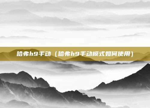 哈弗h9手动（哈弗h9手动模式如何使用）