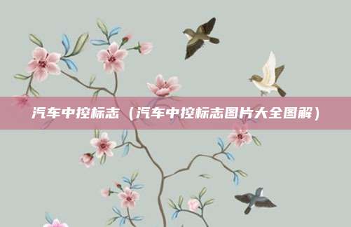 汽车中控标志（汽车中控标志图片大全图解）
