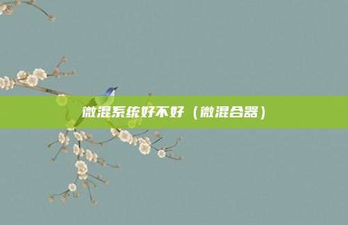 微混系统好不好（微混合器）