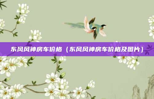 东风风神房车价格（东风风神房车价格及图片）