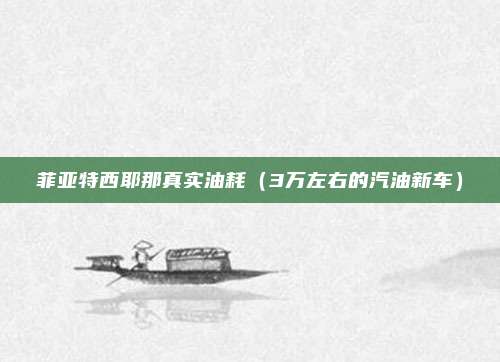 菲亚特西耶那真实油耗（3万左右的汽油新车）
