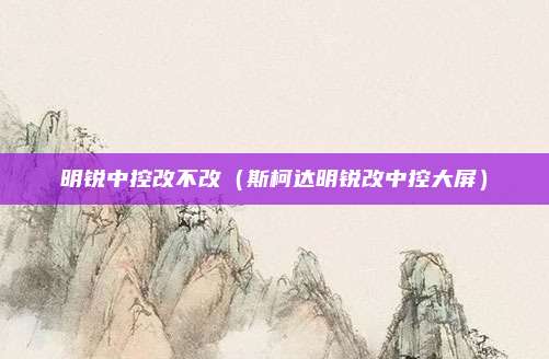 明锐中控改不改（斯柯达明锐改中控大屏）
