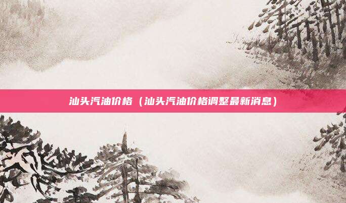 汕头汽油价格（汕头汽油价格调整最新消息）