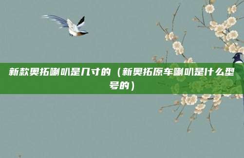 新款奥拓喇叭是几寸的（新奥拓原车喇叭是什么型号的）