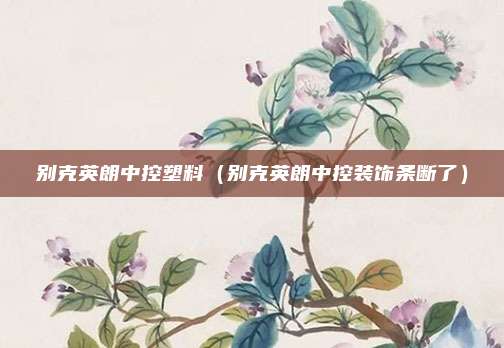 别克英朗中控塑料（别克英朗中控装饰条断了）