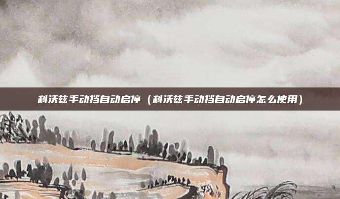 科沃兹手动挡自动启停(科沃兹手动挡自动启停怎么使用)