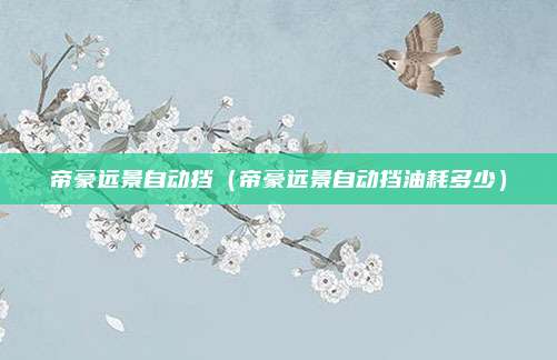 帝豪远景自动挡（帝豪远景自动挡油耗多少）