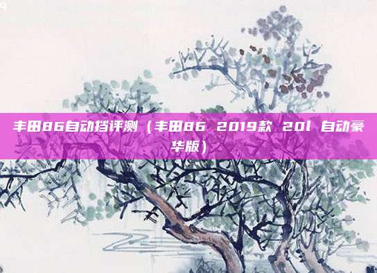丰田86自动挡评测（丰田86 2019款 20l 自动豪华版）