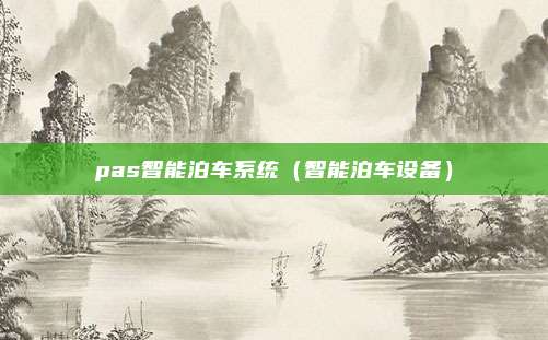 pas智能泊车系统（智能泊车设备）