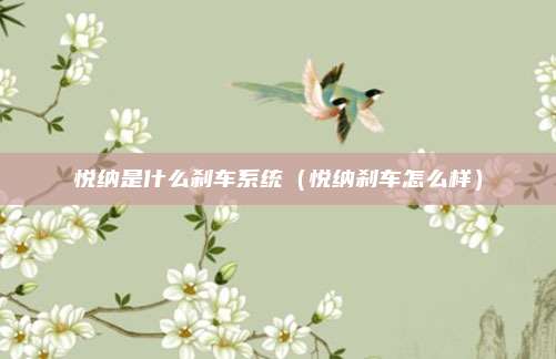 悦纳是什么刹车系统（悦纳刹车怎么样）