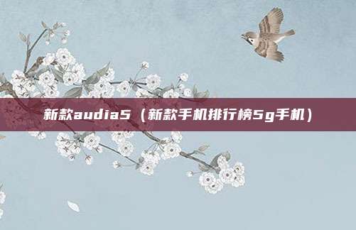 新款audia5(新款手机排行榜5g手机)