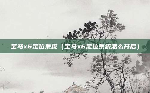 宝马x6定位系统（宝马x6定位系统怎么开启）